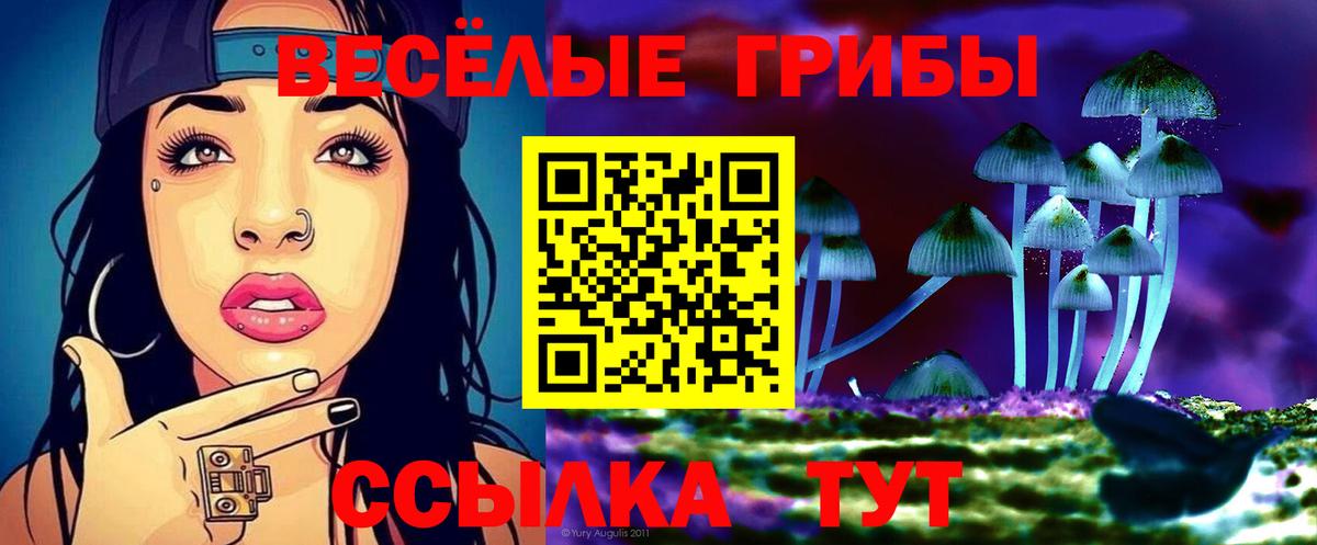 Псилоцибиновые грибы прущие грибы Старая Купавна